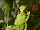 DSCN6356