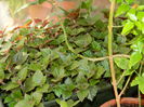 DSCN6359