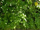 DSCN6363