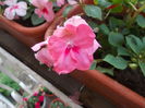 DSCN5630