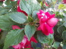 DSCN5635