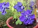 DSCN5659