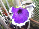 DSCN5664