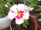 DSCN5666
