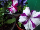 DSCN5667