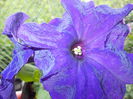 DSCN5674