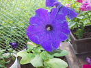 DSCN5675