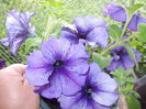 DSCN5676