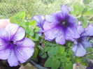 DSCN5677
