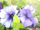 DSCN5678