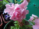DSCN5679