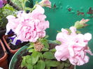 DSCN5680