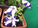 DSCN5681