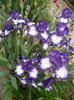 P1220032