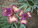 P1220033