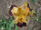P1220037