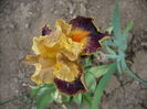 P1220038