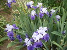 P1220041