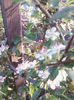 IMG_20150510_190959