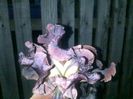 080520152434