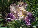 P1220050