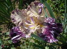 P1220051