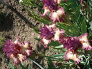 P1220057