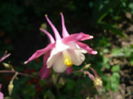 P1220068