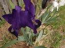 DSCF3755