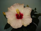 DSC00975