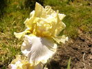P1230436