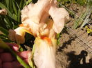 P1230440