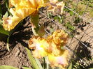 P1230446