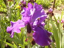 P1230473