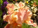 P1230478