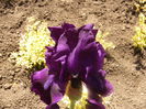 P1230481