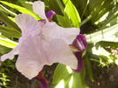 P1230485
