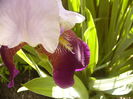 P1230486