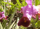 P1230493