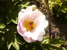 P1230500
