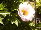 P1230502