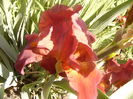 P1230504