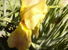 P1230509