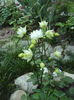 DSC06318