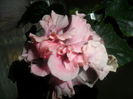 SAM_5067