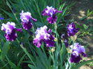 DSCN6515