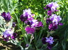 DSCN6516