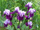 DSCN6555