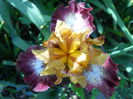 DSCN6575