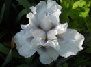 DSCN6574